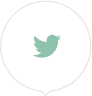 twitter-icon